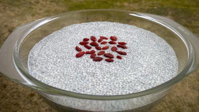 Chia Pudding with Cashew Cream