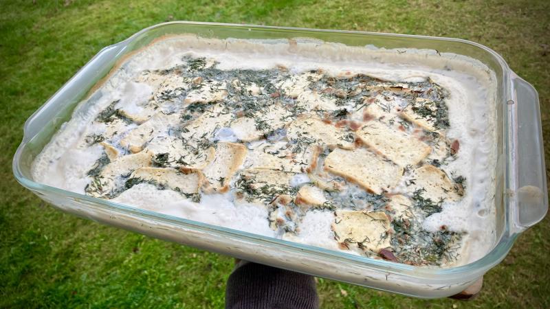 Creamy Baked Tofu with Onions and Dill